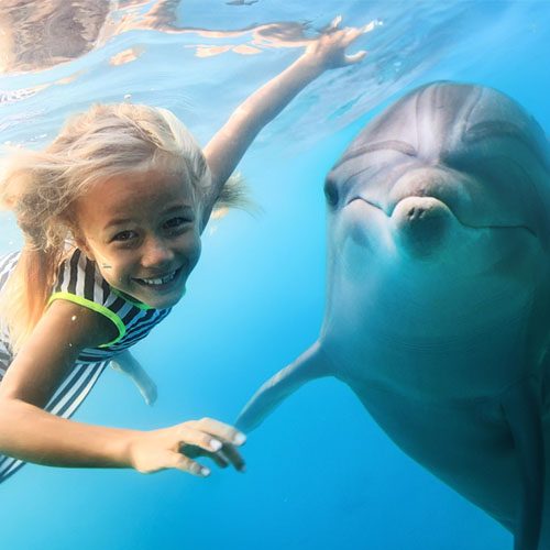 Nadar con delfines, un deseo de vida